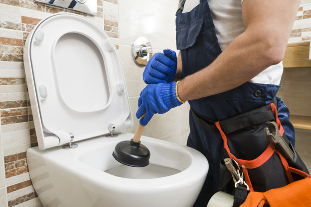 TOILET REPAIR